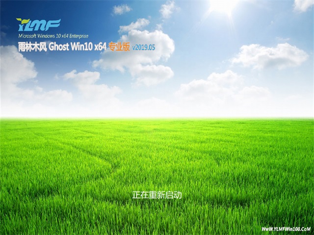 雨林木风Ghost Win10 X64位 万能专业版v2019.05