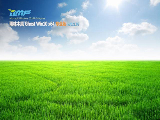 雨林木风Ghost Win10 64位 电脑城专业版v2021.02