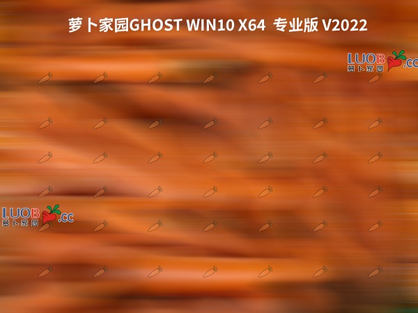 新萝卜家园Ghost Win10 64位 安全专业版 v2021.12