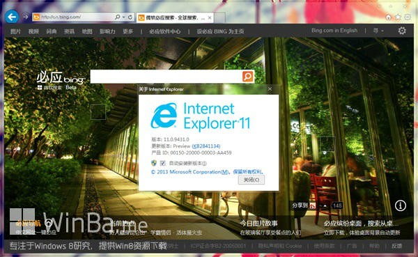 IE11浏览器官方中文版 